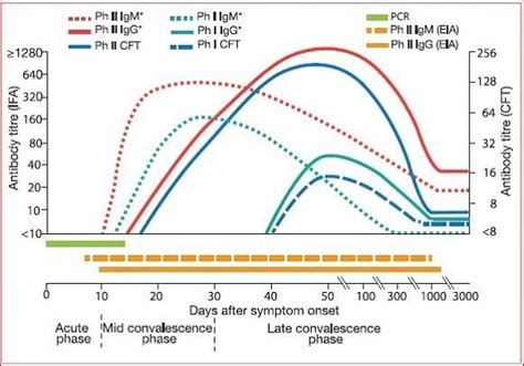 scratch test q fever|acute q fever lab tests.